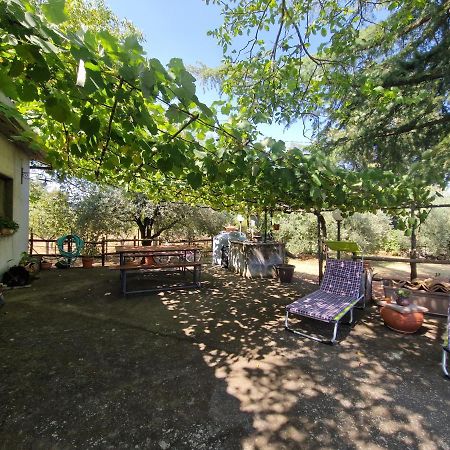 Vila La Casa Di Giulia Bronte Exteriér fotografie