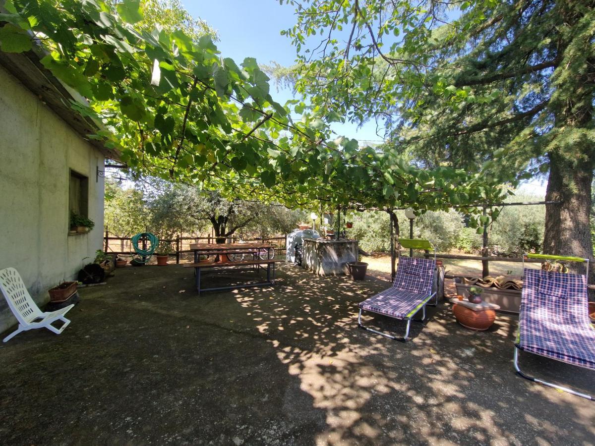 Vila La Casa Di Giulia Bronte Exteriér fotografie