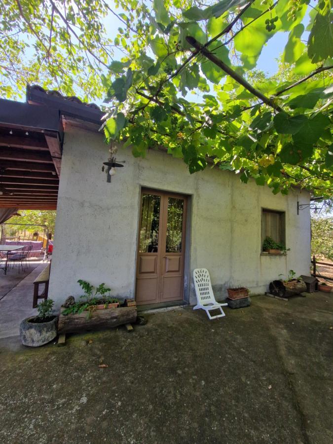 Vila La Casa Di Giulia Bronte Exteriér fotografie